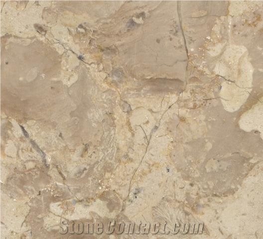 Breccia Sinai Limestone Slabs & Tiles, Egypt Beige Limestone