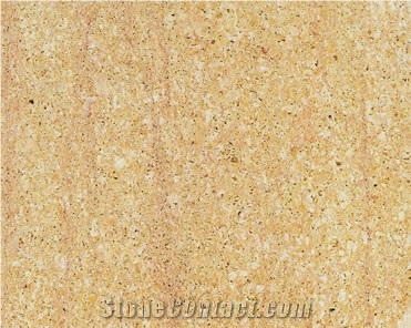 Arenisca Fossil Sandstone Slabs & Tiles