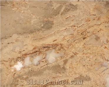 Brecha De Santo Antonio Limestone Slabs & Tiles