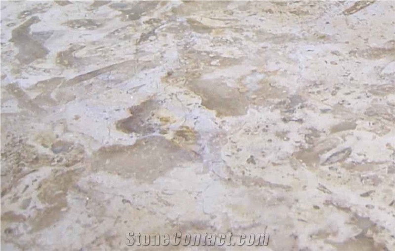 Breccia Sinai Limestone Slabs & Tiles, Egypt Beige Limestone