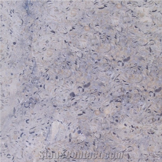 Palestinian Blue Gray Limestone