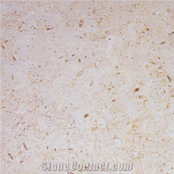 Palestinian Cream Limestone Slabs & Tiles, Palestine Beige Limestone