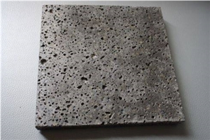 Basalt Fossils