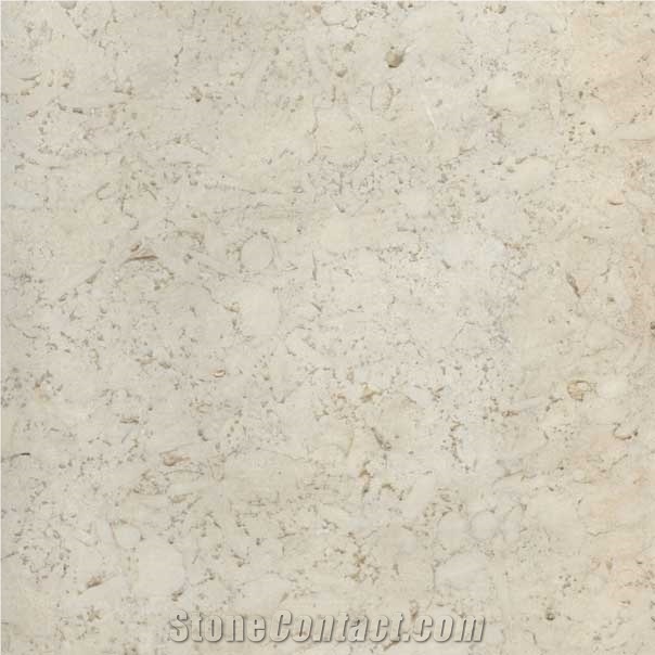 Desert White Limestone Slabs & Tiles