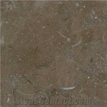 Meli Brown Marble Slabs & Tiles, Egypt Brown Marble
