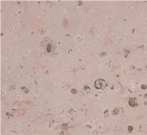 Comblanchien Limestone Slabs & Tiles, France Beige Limestone