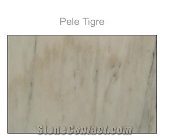 Estremoz Classico, Pele Tigre Marble Slabs