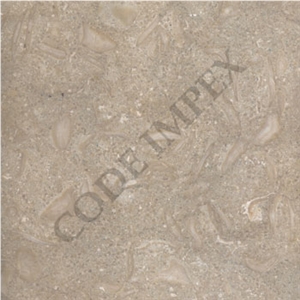 Sea Grass Limestone Tiles & Slabs, Seagrass Limestone Sea Grass Limestone Tiles & Slabs, Seagrass Limestone