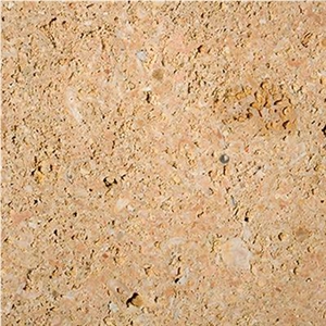 Amarillo Fosil Limestone Slabs & Tiles, Spain Yellow Limestone