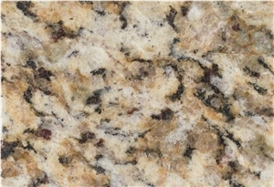 Giallo Napoleon Granite Slabs & Tiles, Brazil Yellow Granite