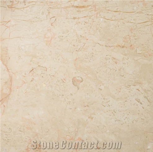 Crema Nova Marble Slabs & Tiles