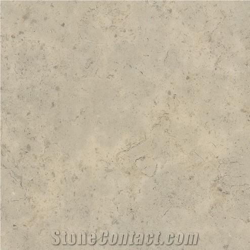 Fossil Limestone Slabs & Tiles, Spain Beige Limestone
