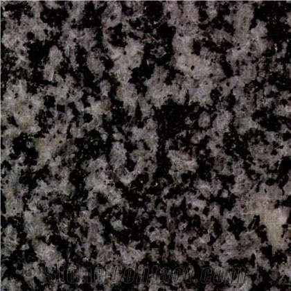 Negro Tezal Granite Slabs & Tiles, Spain Grey Granite