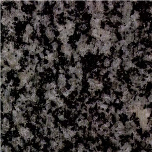 Negro Tezal Granite Slabs & Tiles, Spain Grey Granite
