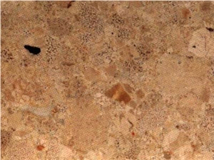 Crema Altea Limestone Slabs & Tiles, Spain Beige Limestone Crema Altea Limestone Slabs & Tiles, Spain Beige Limestone