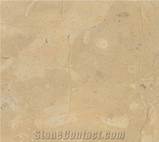 Birzeit Gold Limestone Slabs & Tiles, Israel Yellow Limestone