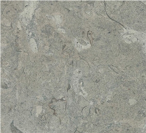 Birzeit Grey Limestone Slabs & Tiles, Israel Grey Limestone