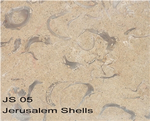Jerusalem Shells Limestone Slabs & Tiles, Israel Beige Limestone Jerusalem Shells Limestone Slabs & Tiles, Israel Beige Limestone
