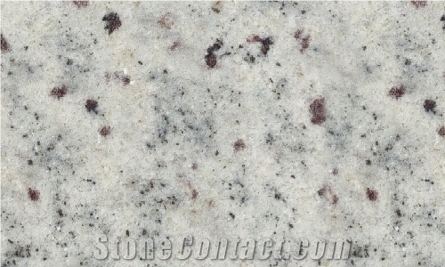 Bianco Regina Granite Slabs & Tiles, Brazil White Granite