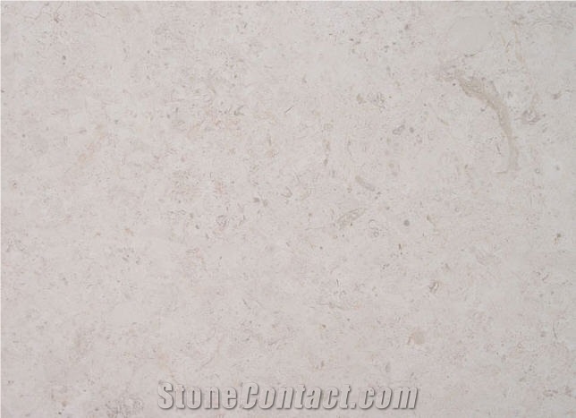 Jerusalem Bone Limestone Slabs & Tiles, Israel White Limestone