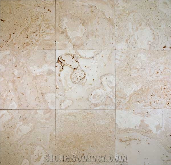 Coralina Shellstone Limestone Slabs & Tiles, Mexico Beige Limestone