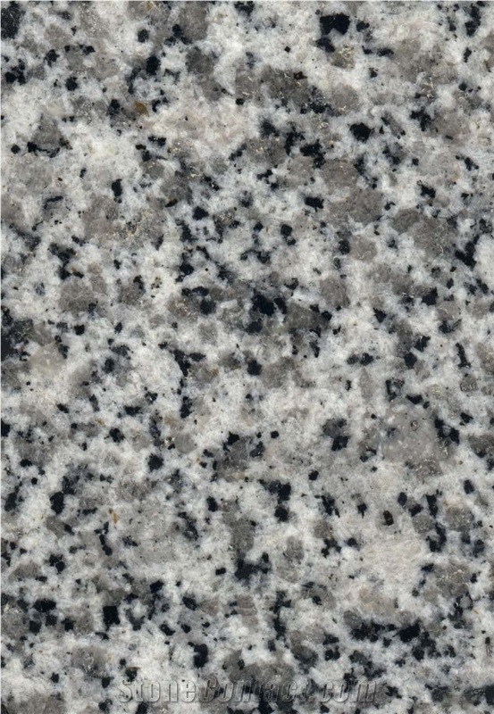 G640 Granite Slabs & Tiles, China White Granite