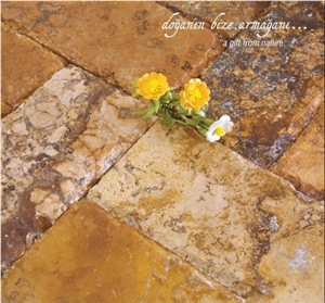 Brown Travertine Paver Crosscut