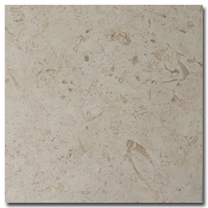 Jerusalem Bone Limestone Slabs & Tiles, Israel White Limestone