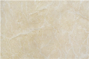Seashell Limestone Honed Slabs & Tiles, Turkey Beige Limestone