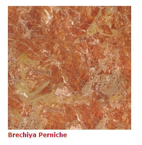 Breccia Pernice Marble