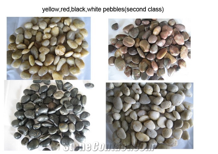 Multicolor Pebble Stone