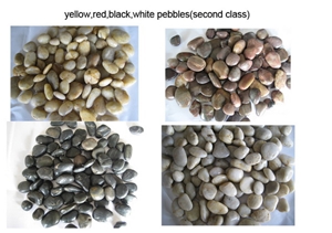 Multicolor Pebble Stone