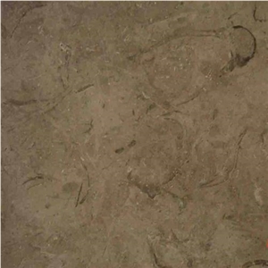 Nile Grey Limestone Slabs & Tiles, Egypt Grey Limestone Nile Grey Limestone Slabs & Tiles, Egypt Grey Limestone