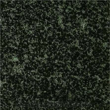 Ba Dinh Dong Granite Tile, Viet Nam Green Granite