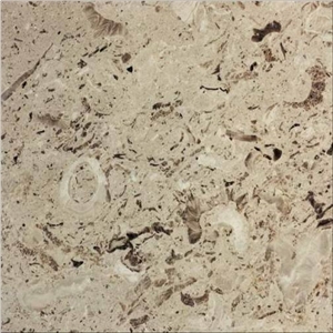 Aurisina Fiorita Limestone Tiles, Italy Beige Limestone
