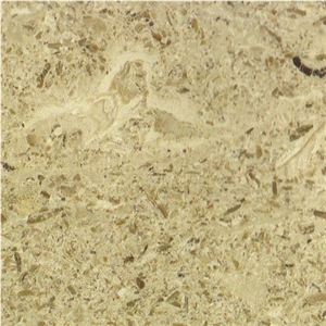 Fior Di Mare Limestone Slabs & Tiles, Italy Beige Limestone