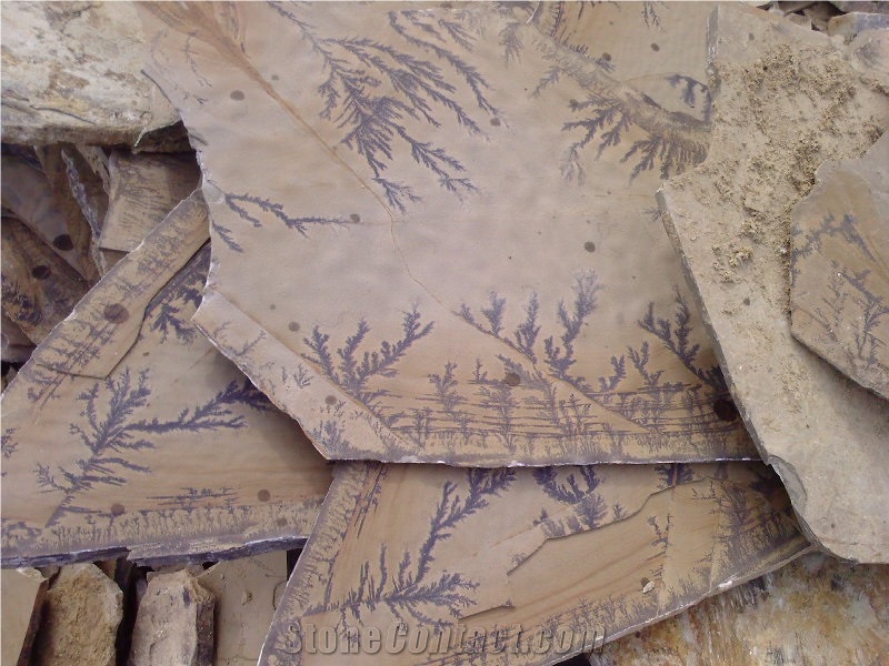 Fossil Stone, Brown Quartzite Flagstone