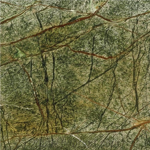 Rain Forest Green Light