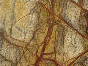 Rain Forest Green Marble Slabs & Tiles, India Green Marble