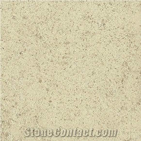 Anstrude Roche Claire Limestone Tiles, France White Limestone