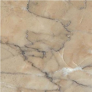 Pakistan Tiger Beige Marble Slabs & Tiles