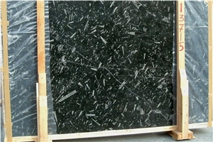 Fossil Black Limestone Slab, Morocco Black Limestone Fossil Black Limestone Slab, Morocco Black Limestone
