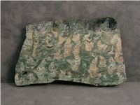 Green Jasper-Ed Stromatolite Stone Slabs & Tiles, Green Genesis Stone Calcarenite Slabs & Tiles