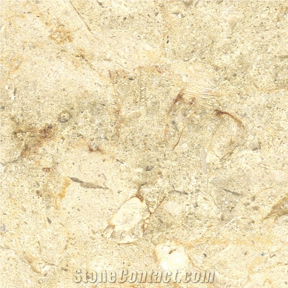 Khatmia Light Limestone Slabs & Tiles, Egypt Beige Limestone