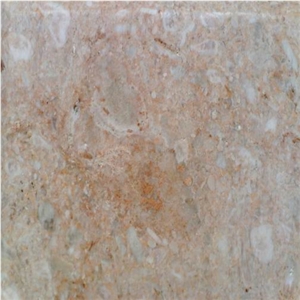 Kadhel Rose Limestone Slabs & Tiles, Tunisia Pink Limestone