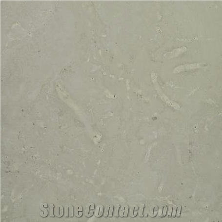 Dolomite Orgita Limestone Slabs & Tiles, Estonia Grey Limestone