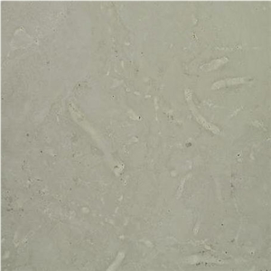 Dolomite Orgita Limestone Slabs & Tiles, Estonia Grey Limestone Dolomite Orgita Limestone Slabs & Tiles, Estonia Grey Limestone