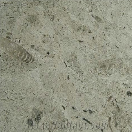 Reval Limestone Slabs & Tiles, Estonia Grey Limestone