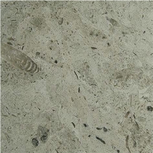 Reval Limestone Slabs & Tiles, Estonia Grey Limestone Reval Limestone Slabs & Tiles, Estonia Grey Limestone