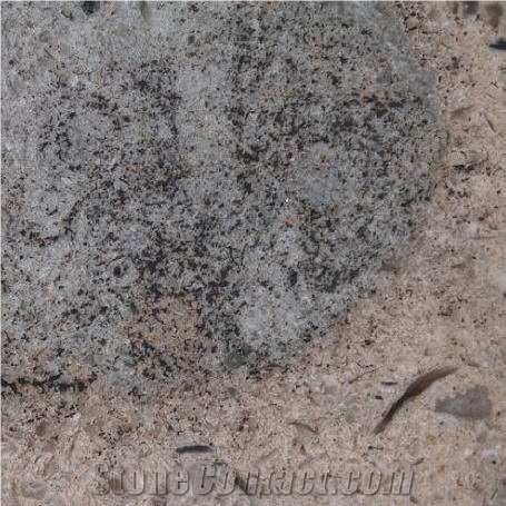 Voehmuta Limestone Slabs & Tiles, Estonia Grey Limestone